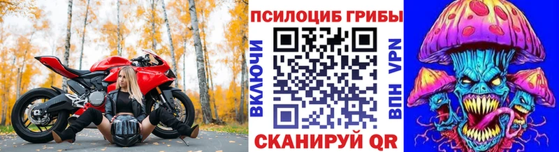 Галлюциногенные грибы Cubensis  Выкса 